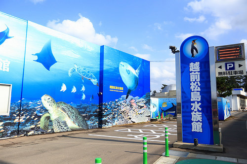 [遊記] 來訪福井東尋坊時順遊的好去處-越前松島水族館
